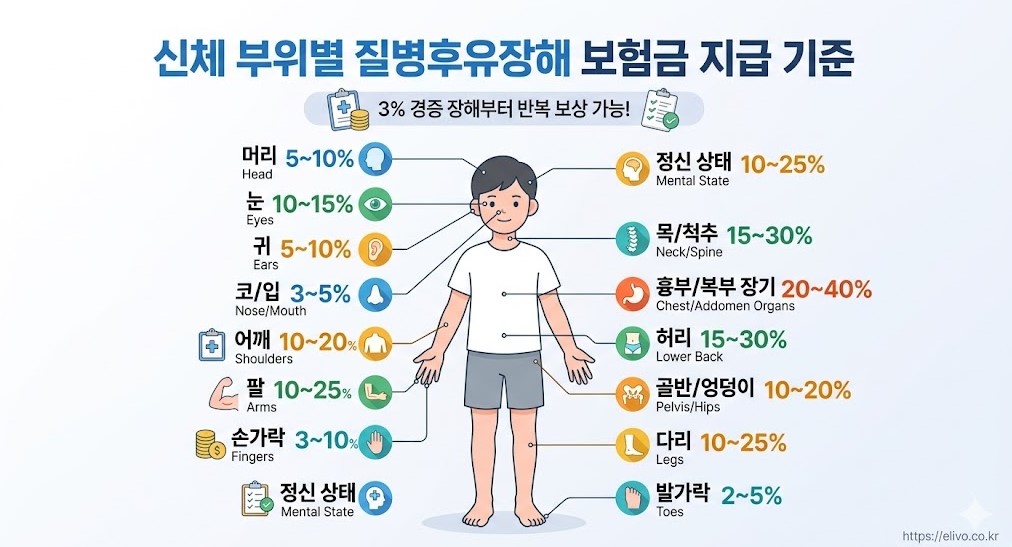 질병후유장해 보험금 지급 기준 및 3% 경증 장해 보상 안내