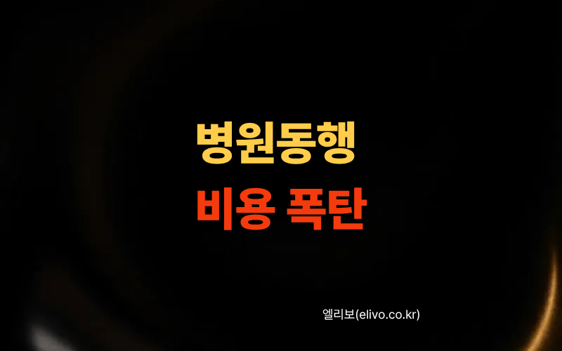 병원동행서비스 이용요금 가격표 보고 놀라는 이유, 실제 비용 비교 (2026)