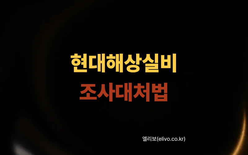 현대해상 실비 보험사 현장 조사 대처법 및 신중해야할 서류 (2026)