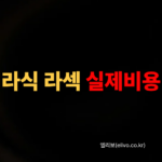 라식 라섹 수술 비용 2026 수술비 실손 적용 후 실제 라식 라섹 수술비 계산기 코드