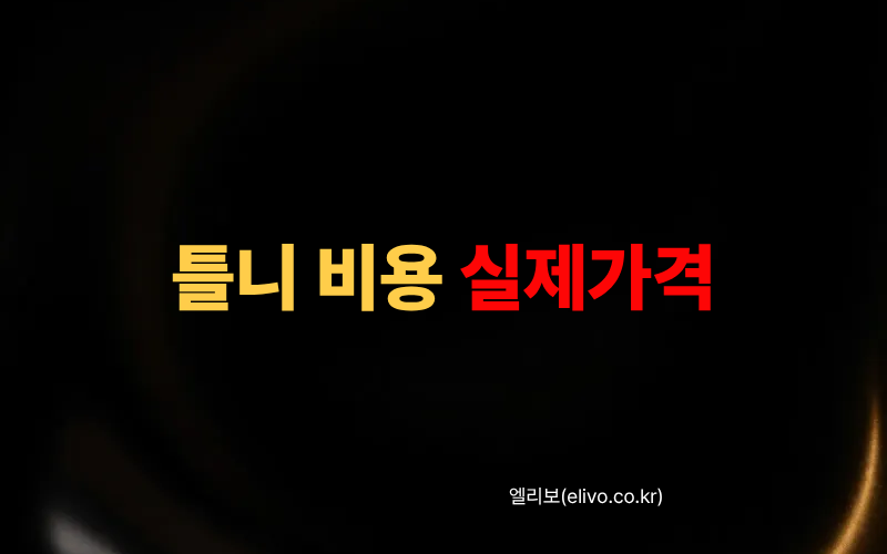 틀니 비용 2026｜임플란트 vs 틀니 실제 가격과 건강보험 적용 기준