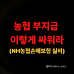 NH 농협손해보험 실비 청구 양식 서류 다운로드 (2026)
