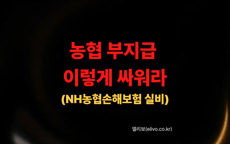 NH 농협손해보험 실비 청구 양식 서류 다운로드 (2026)